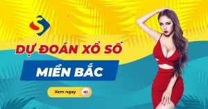 Dự đoán kết quả 11/11
